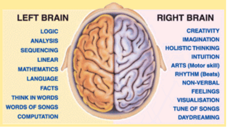 left right brain characteristics